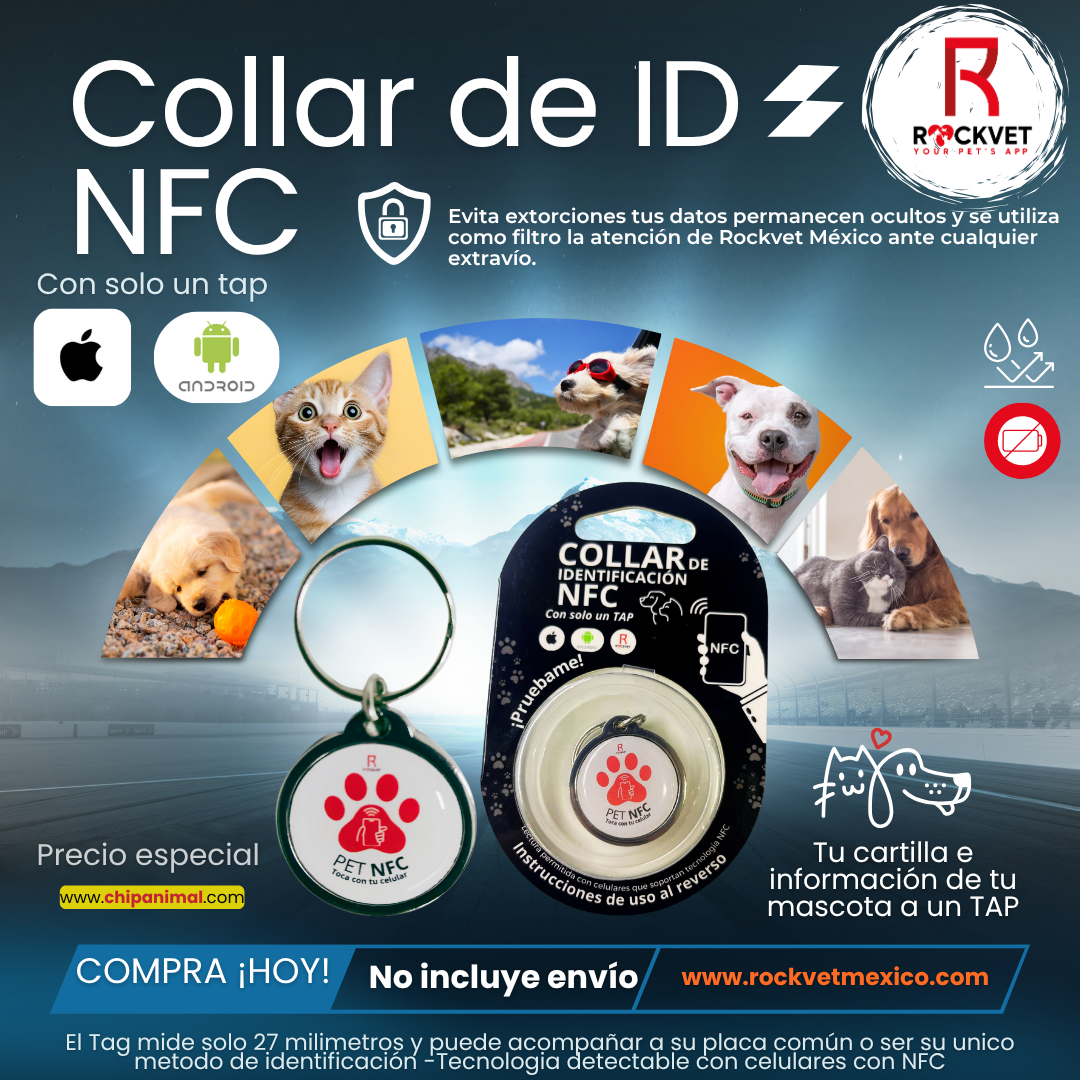 Collar de Identificación Inteligente ROCKVET MÉXICO con Tecnología NFC y QR