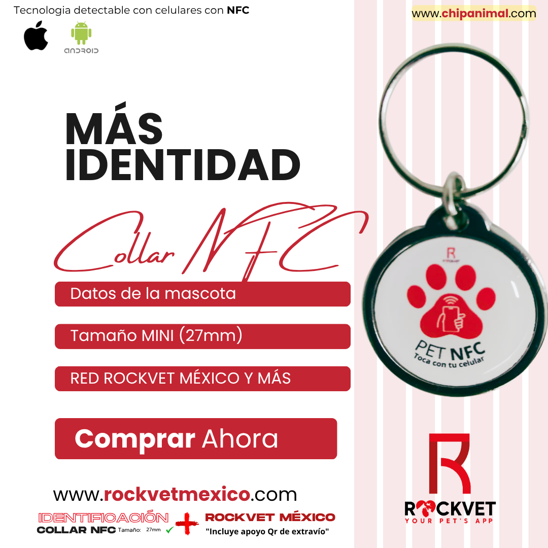 Collar de Identificación Inteligente ROCKVET MÉXICO con Tecnología NFC y QR