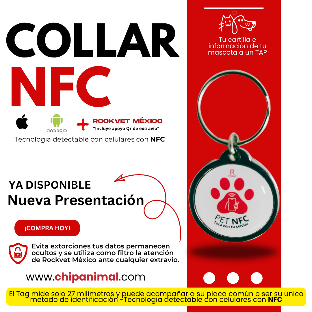 Collar de Identificación Inteligente ROCKVET MÉXICO con Tecnología NFC y QR