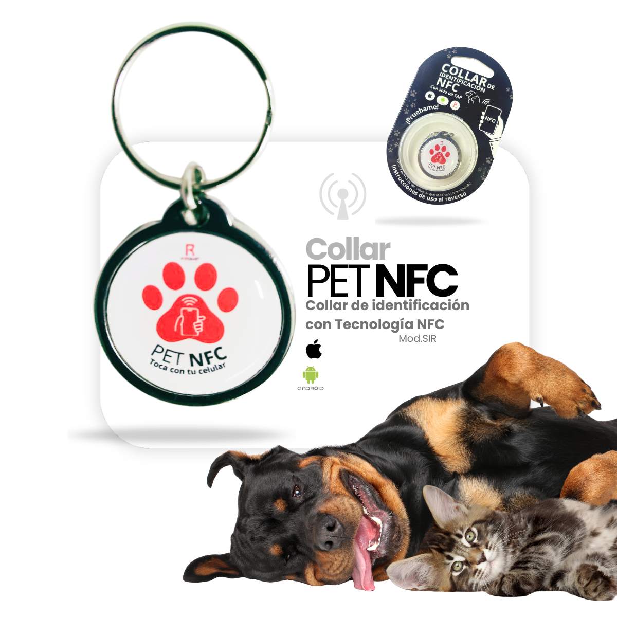 Collar de Identificación Inteligente ROCKVET MÉXICO con Tecnología NFC y QR