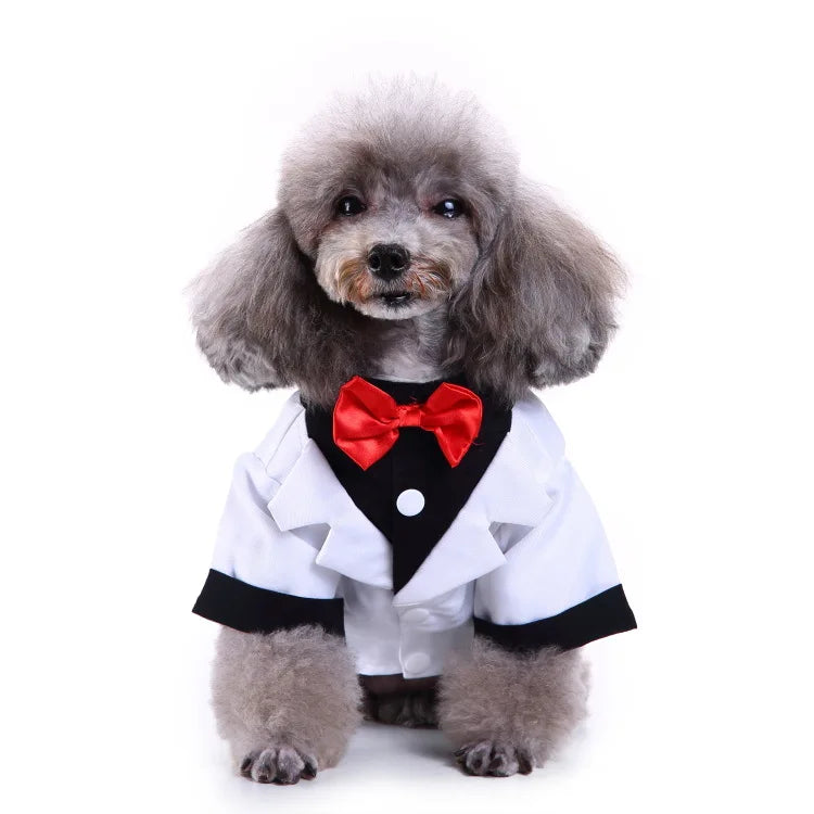 Traje de chaquetas de boda azul para perros con pajarita azul, tela formal para cachorros y gatos