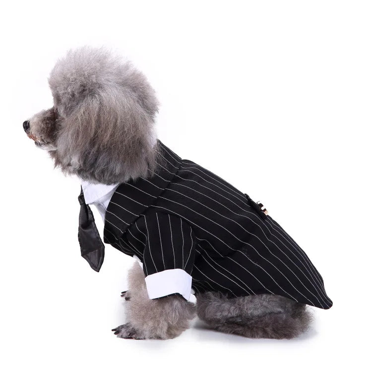 Traje de chaquetas de boda azul para perros con pajarita azul, tela formal para cachorros y gatos