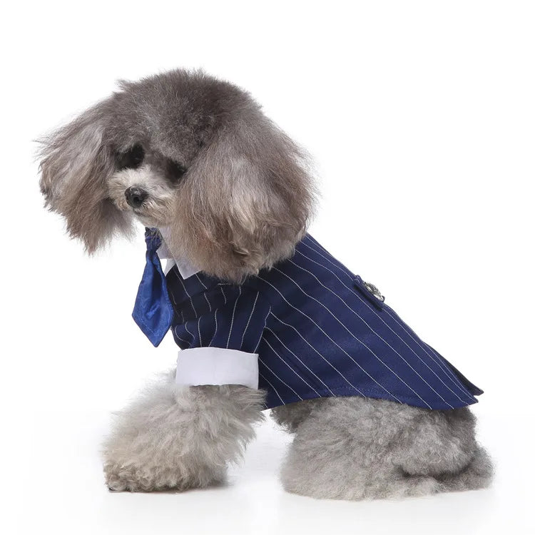 Traje de chaquetas de boda azul para perros con pajarita azul, tela formal para cachorros y gatos
