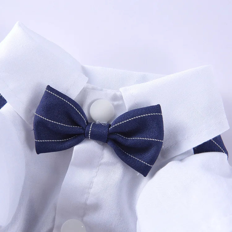 Traje de chaquetas de boda azul para perros con pajarita azul, tela formal para cachorros y gatos