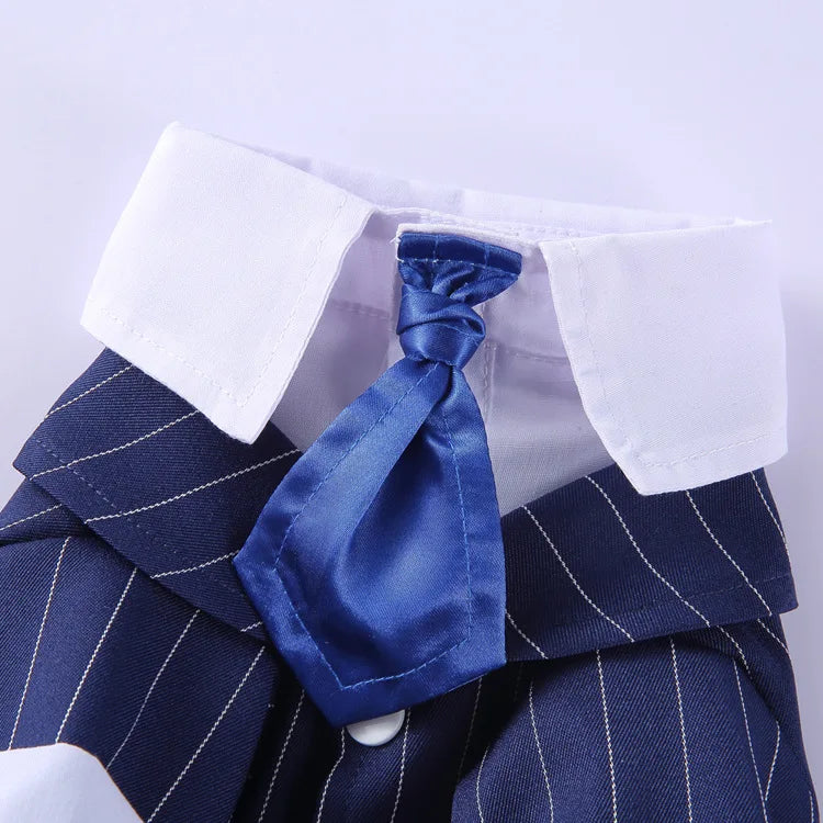 Traje de chaquetas de boda azul para perros con pajarita azul, tela formal para cachorros y gatos