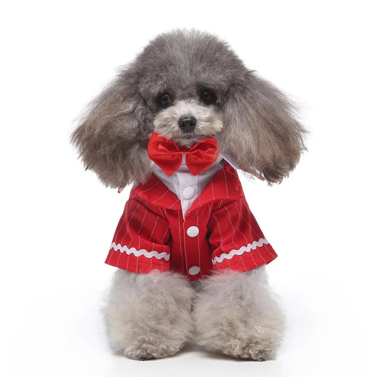 Traje de chaquetas de boda azul para perros con pajarita azul, tela formal para cachorros y gatos