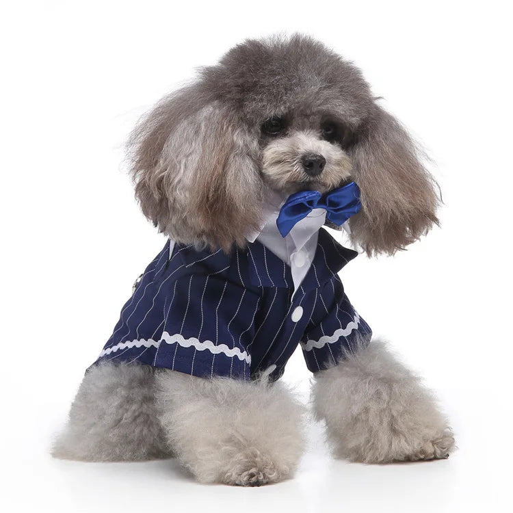Traje de chaquetas de boda azul para perros con pajarita azul, tela formal para cachorros y gatos