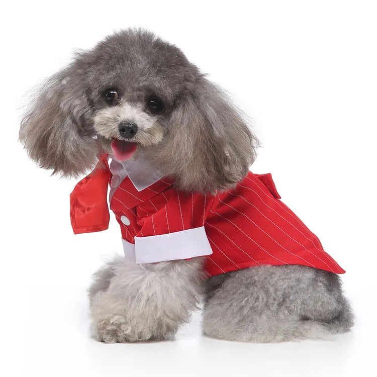 Traje de chaquetas de boda azul para perros con pajarita azul, tela formal para cachorros y gatos