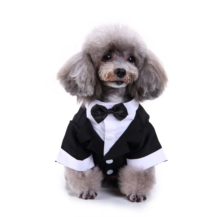 Traje de chaquetas de boda azul para perros con pajarita azul, tela formal para cachorros y gatos