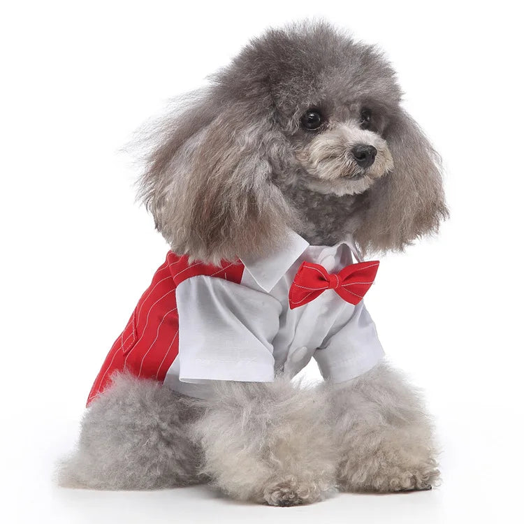 Traje de chaquetas de boda azul para perros con pajarita azul, tela formal para cachorros y gatos