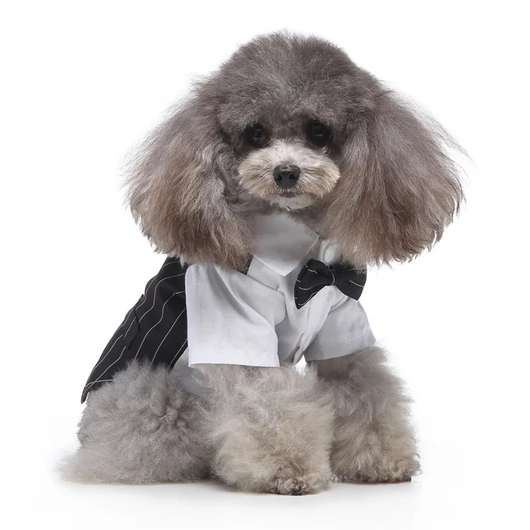 Traje de chaquetas de boda azul para perros con pajarita azul, tela formal para cachorros y gatos