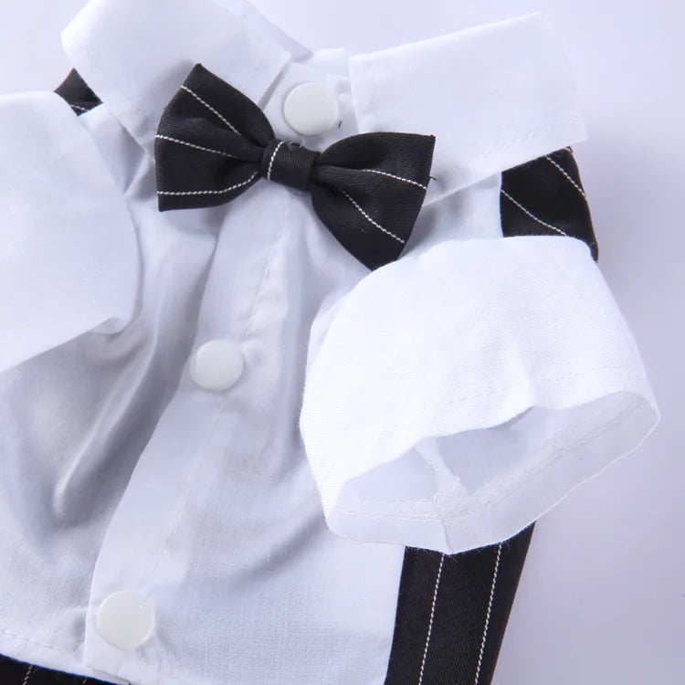 Traje de chaquetas de boda azul para perros con pajarita azul, tela formal para cachorros y gatos