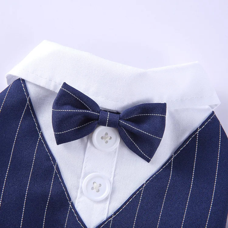 Traje de chaquetas de boda azul para perros con pajarita azul, tela formal para cachorros y gatos