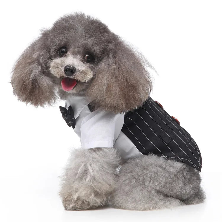 Traje de chaquetas de boda azul para perros con pajarita azul, tela formal para cachorros y gatos