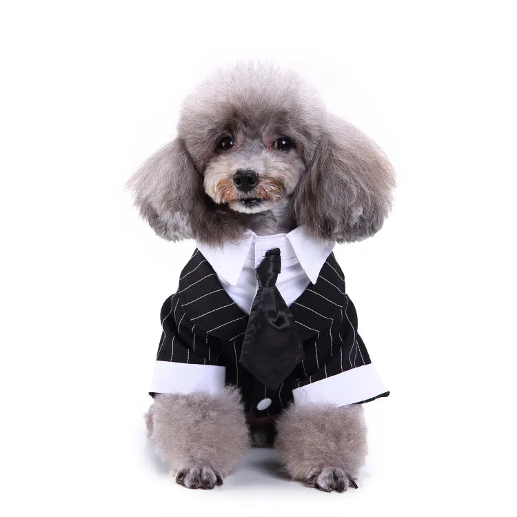 Traje de chaquetas de boda azul para perros con pajarita azul, tela formal para cachorros y gatos