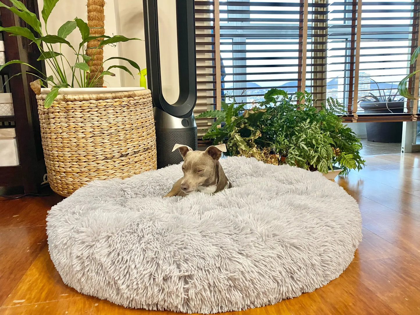 Super Soft Round Pet Bed Long Plush Dog House for Medium Dogs