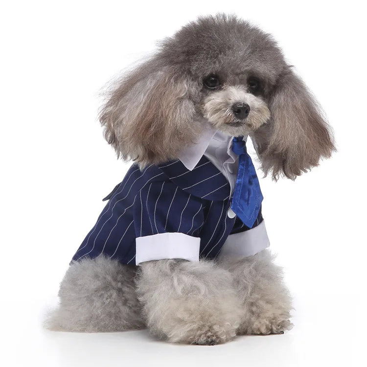 Traje de chaquetas de boda azul para perros con pajarita azul, tela formal para cachorros y gatos