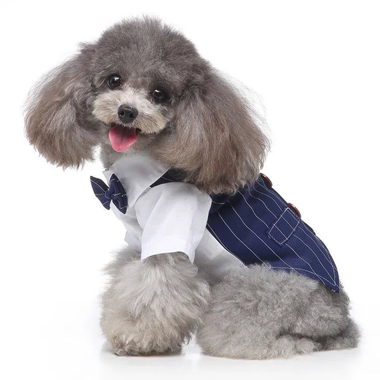 Traje de chaquetas de boda azul para perros con pajarita azul, tela formal para cachorros y gatos