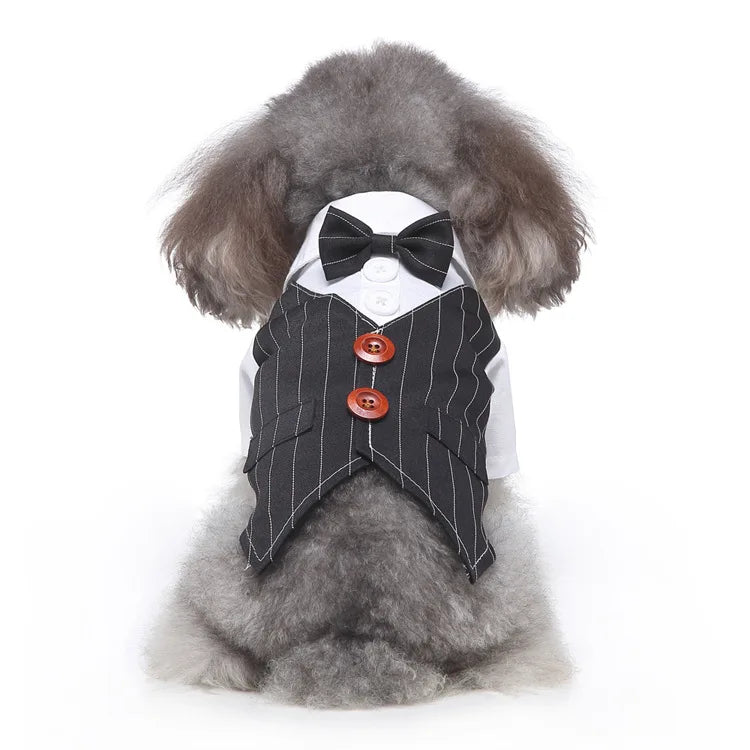 Traje de chaquetas de boda azul para perros con pajarita azul, tela formal para cachorros y gatos
