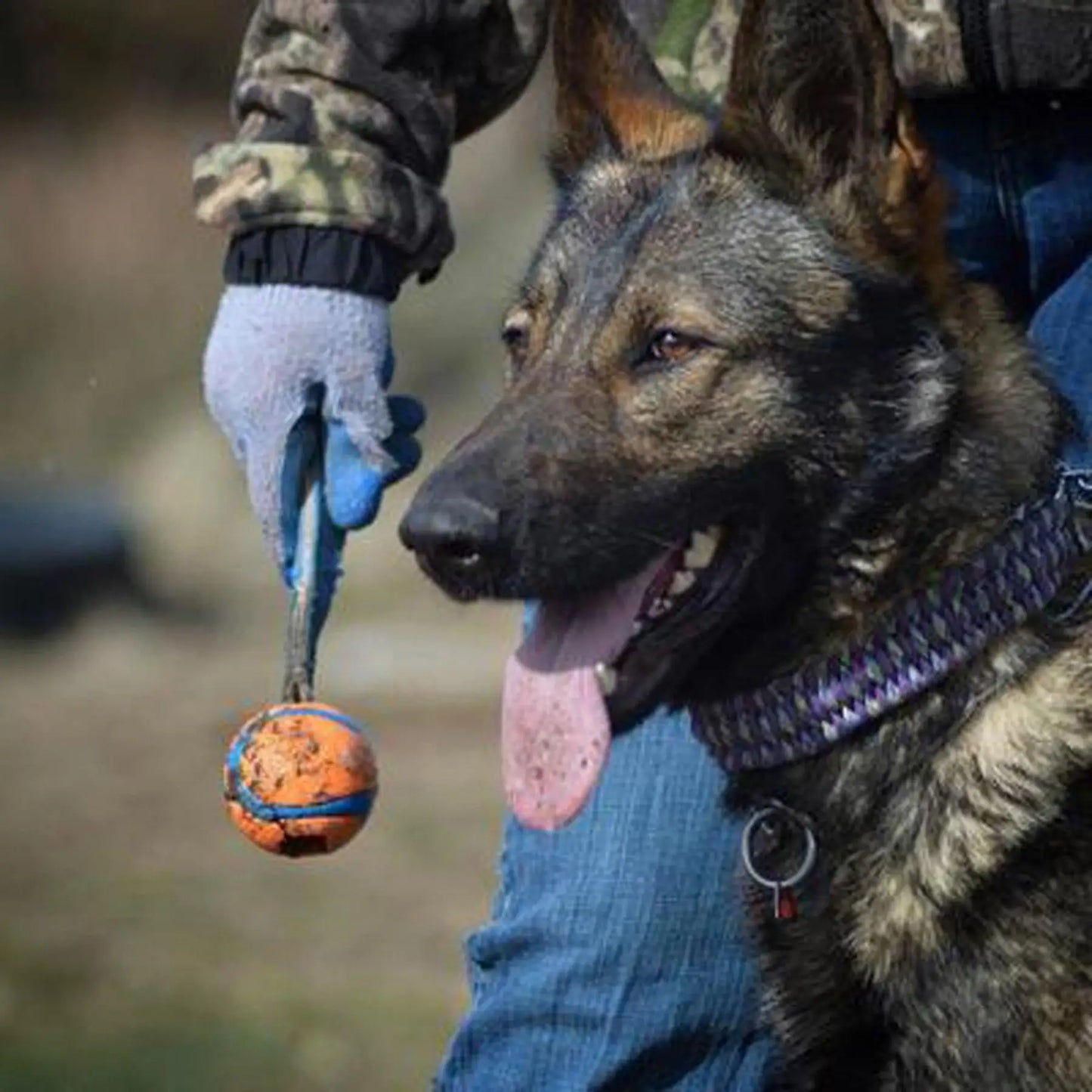Juguete para perros con bola súper cordón resistente a morderse los dientes pequeño, mediano y largo