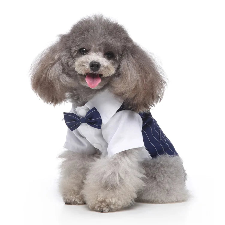 Traje de chaquetas de boda azul para perros con pajarita azul, tela formal para cachorros y gatos