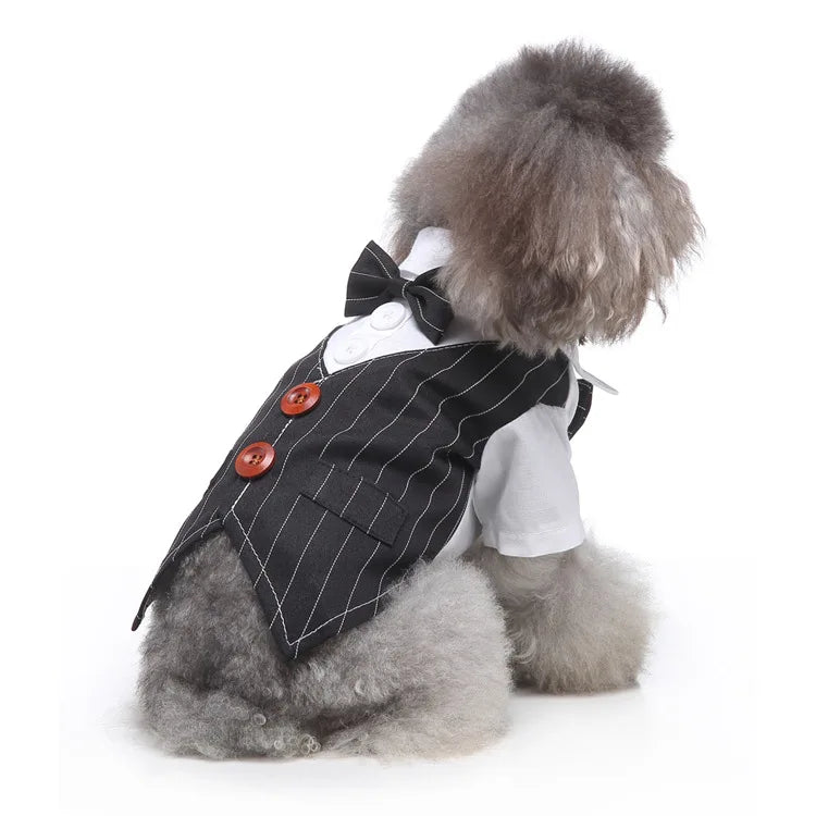 Traje de chaquetas de boda azul para perros con pajarita azul, tela formal para cachorros y gatos