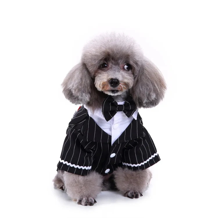 Traje de chaquetas de boda azul para perros con pajarita azul, tela formal para cachorros y gatos