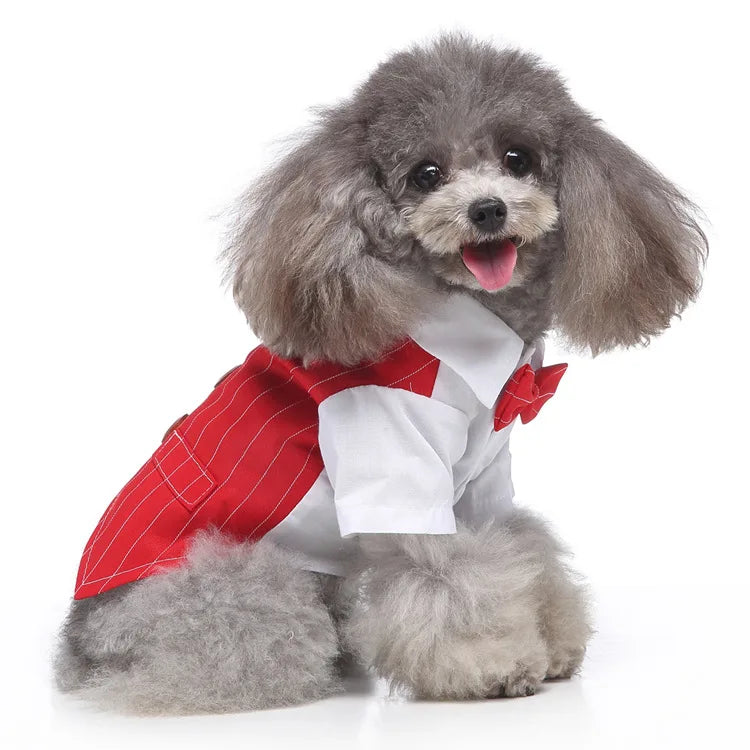 Traje de chaquetas de boda azul para perros con pajarita azul, tela formal para cachorros y gatos