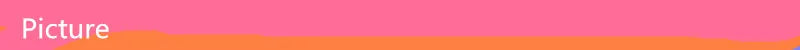 30 Pieces. Big Dog Bow for Valentine's Day Dog Grooming Product Pink Chiffon St