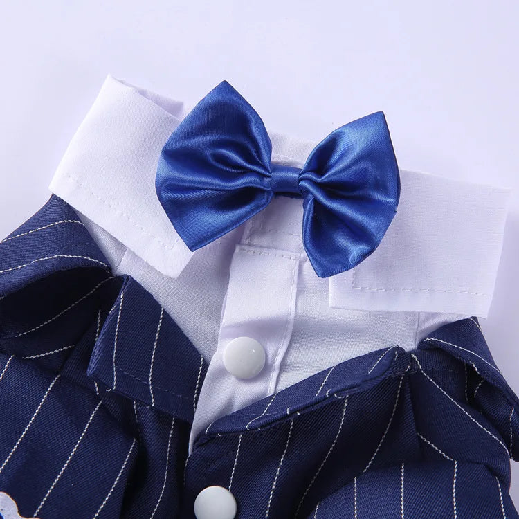 Traje de chaquetas de boda azul para perros con pajarita azul, tela formal para cachorros y gatos