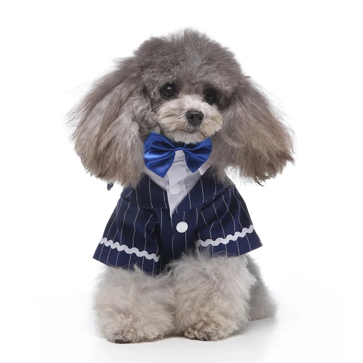 Traje de chaquetas de boda azul para perros con pajarita azul, tela formal para cachorros y gatos