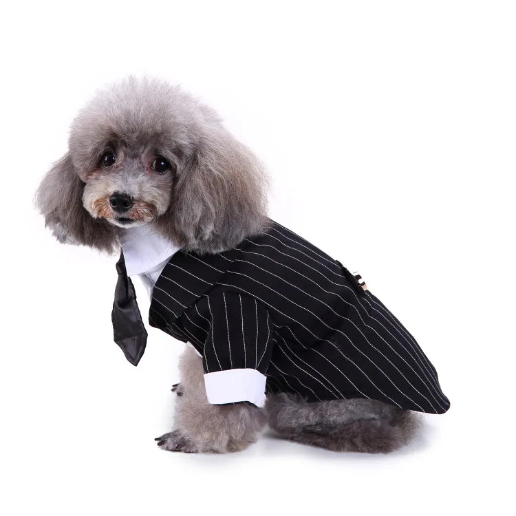 Traje de chaquetas de boda azul para perros con pajarita azul, tela formal para cachorros y gatos