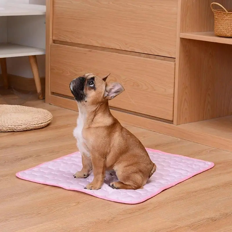 Esterilla transpirable para perros y gatos, manta refrescante para perros