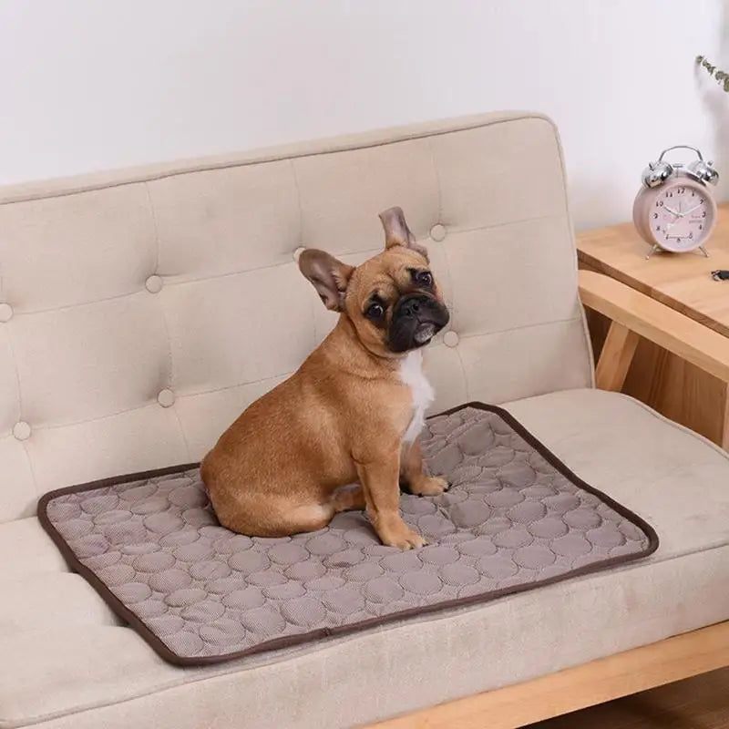 Esterilla transpirable para perros y gatos, manta refrescante para perros
