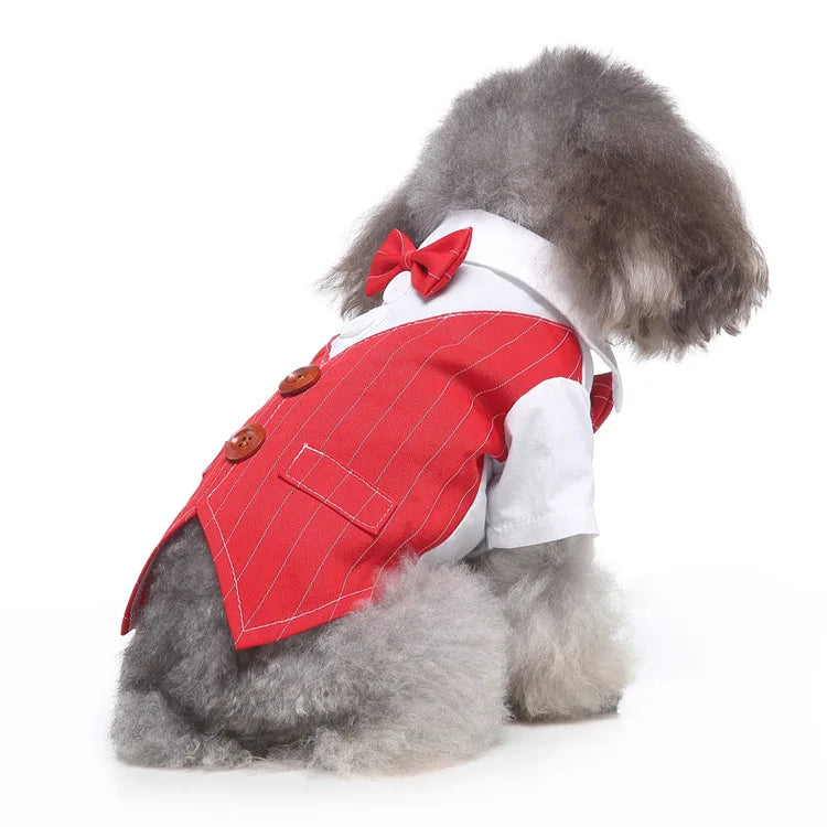 Traje de chaquetas de boda azul para perros con pajarita azul, tela formal para cachorros y gatos
