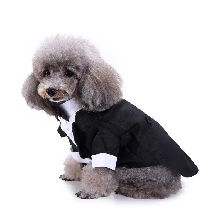 Traje de chaquetas de boda azul para perros con pajarita azul, tela formal para cachorros y gatos