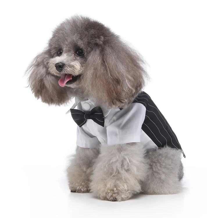 Traje de chaquetas de boda azul para perros con pajarita azul, tela formal para cachorros y gatos