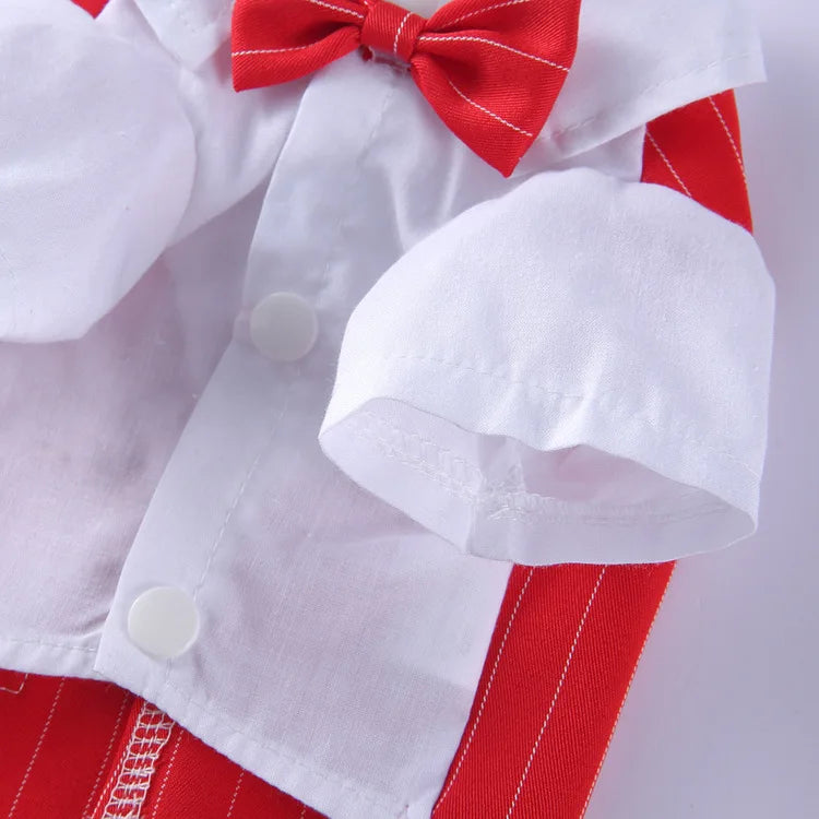Traje de chaquetas de boda azul para perros con pajarita azul, tela formal para cachorros y gatos