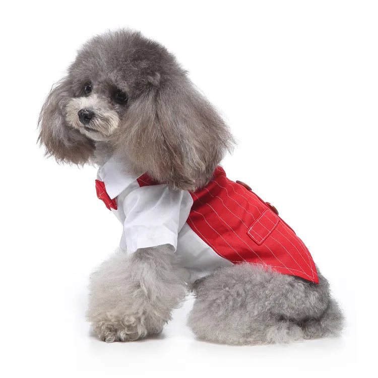 Traje de chaquetas de boda azul para perros con pajarita azul, tela formal para cachorros y gatos
