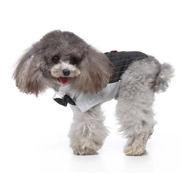 Traje de chaquetas de boda azul para perros con pajarita azul, tela formal para cachorros y gatos