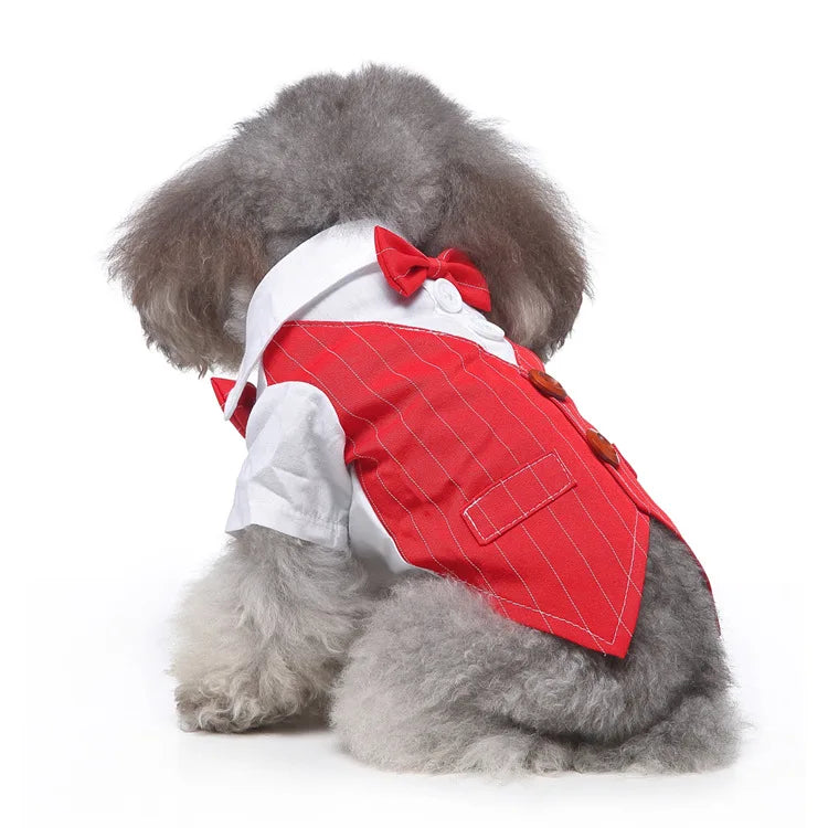 Traje de chaquetas de boda azul para perros con pajarita azul, tela formal para cachorros y gatos