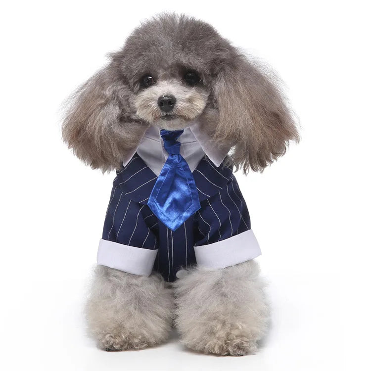 Traje de chaquetas de boda azul para perros con pajarita azul, tela formal para cachorros y gatos