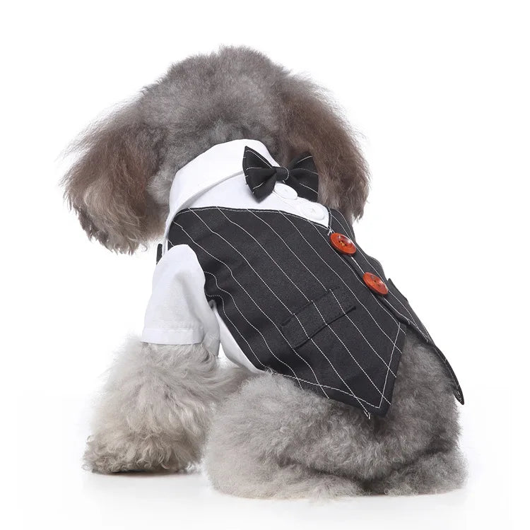 Traje de chaquetas de boda azul para perros con pajarita azul, tela formal para cachorros y gatos