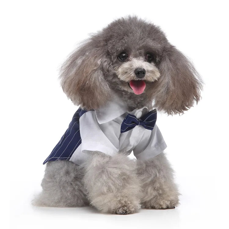 Traje de chaquetas de boda azul para perros con pajarita azul, tela formal para cachorros y gatos