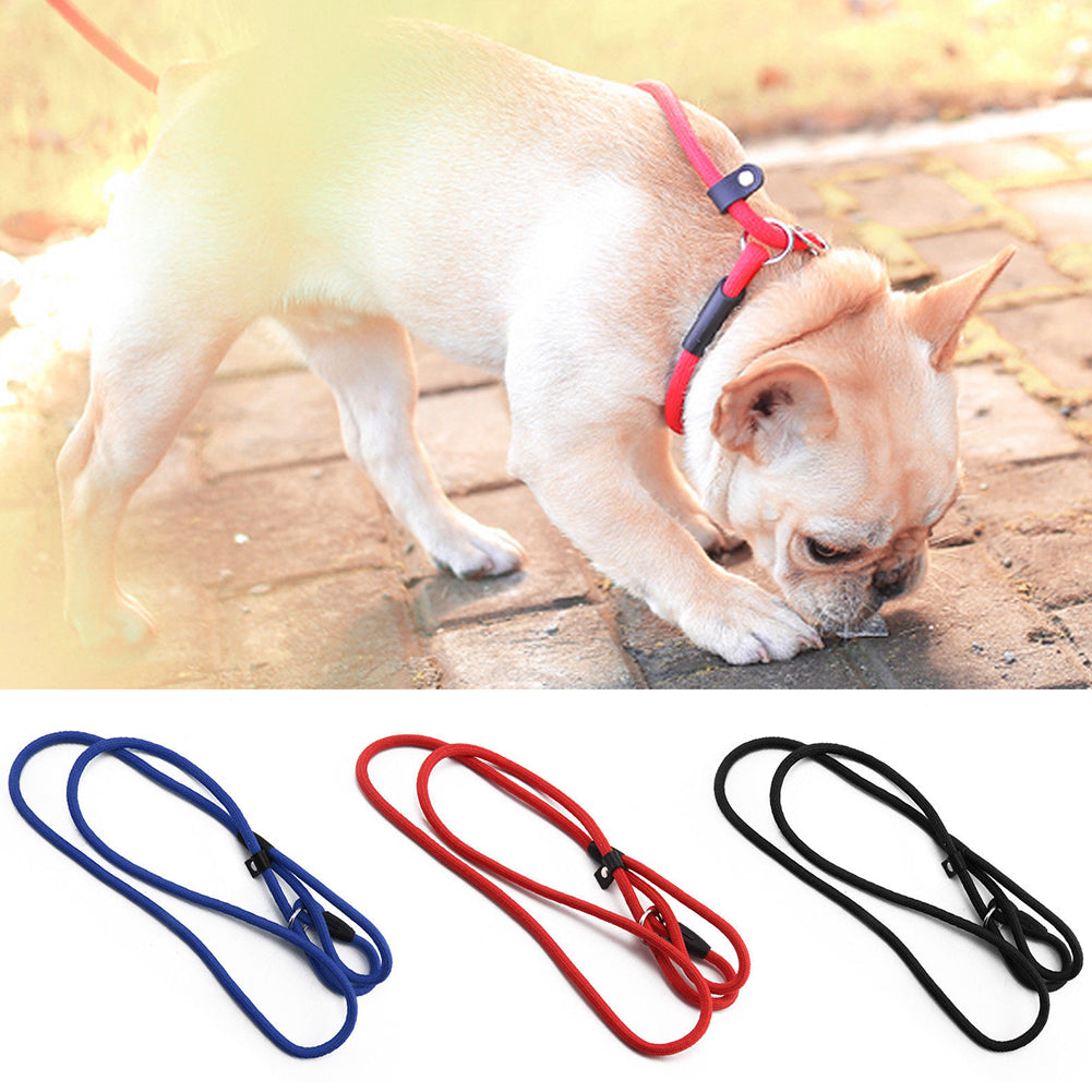 Correa de nailon para mascotas, cuerda antideslizante para entrenamiento de perr