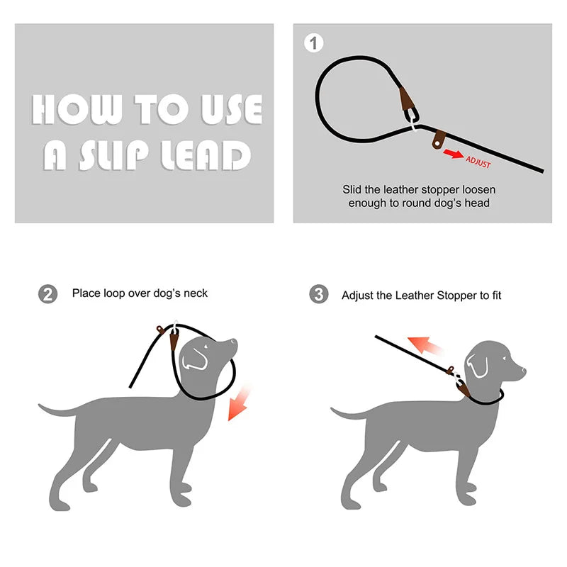 Dog Collar Anti-slip Lead Leash High Strength Braided Rope
