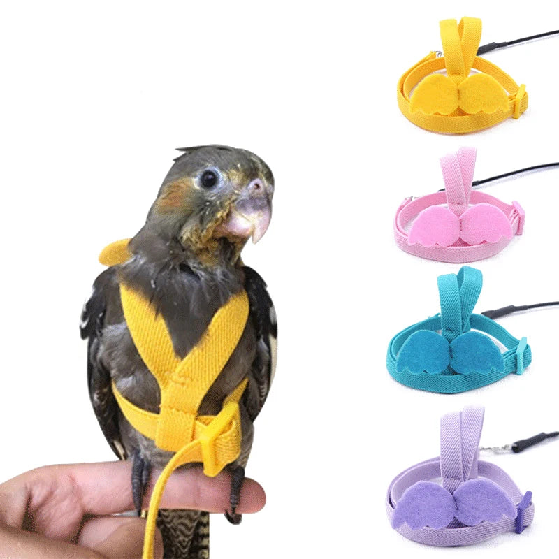 Parrot Flying Harness Leash Suit Outdoor Flying Training Rope