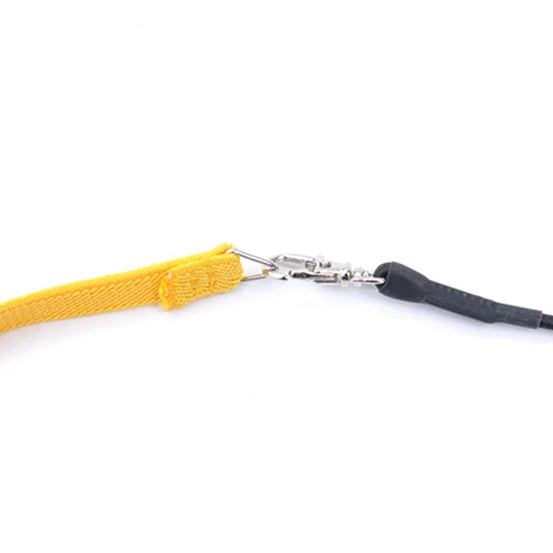 Parrot Flying Harness Leash Suit Outdoor Flying Training Rope