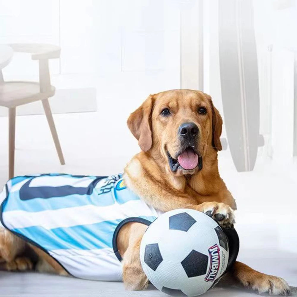 Dog Toy Ball Bite Resistant Basketball