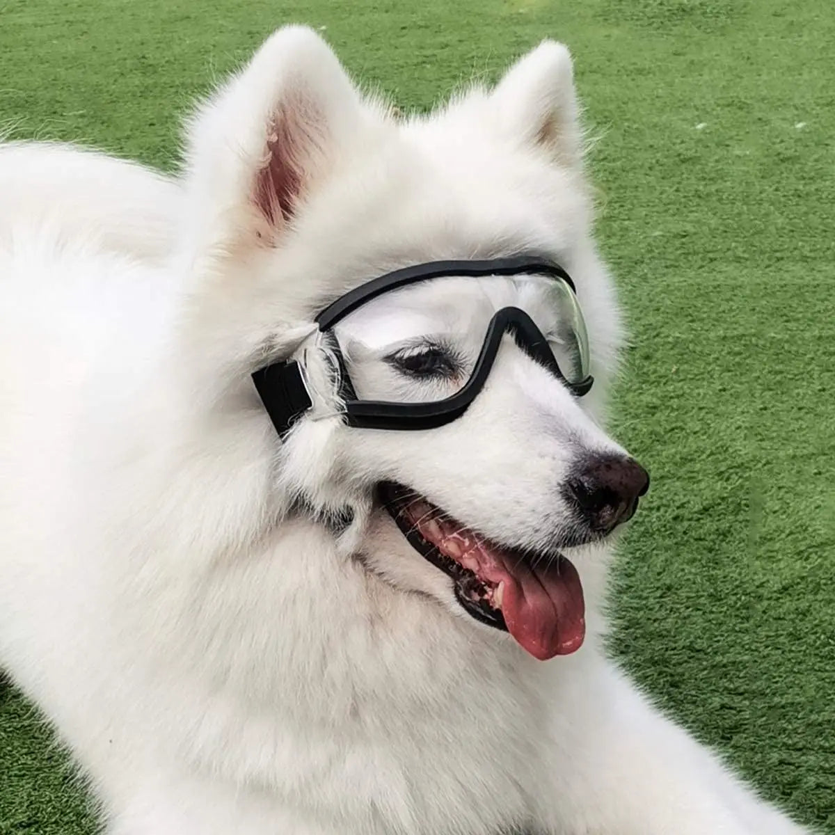 Dog Sunglasses, Adjustable Strap for Travel, Ski and Anti-Fog, Goggles